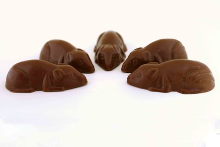 chocolade muis