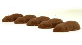 Chocolade muizen