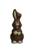 Chocolade haas Naomi ingekleurd