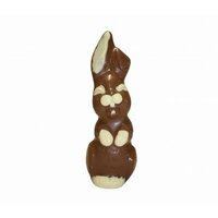 Haas gerrit ingekleurd